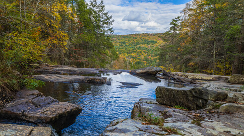 beautiful fall nature