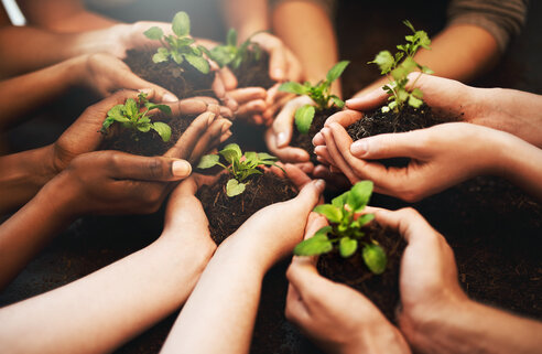 collective growth plants
